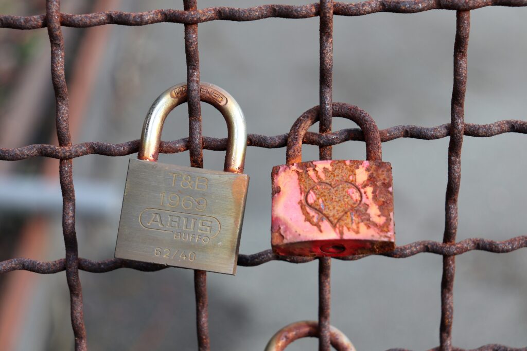 domain security