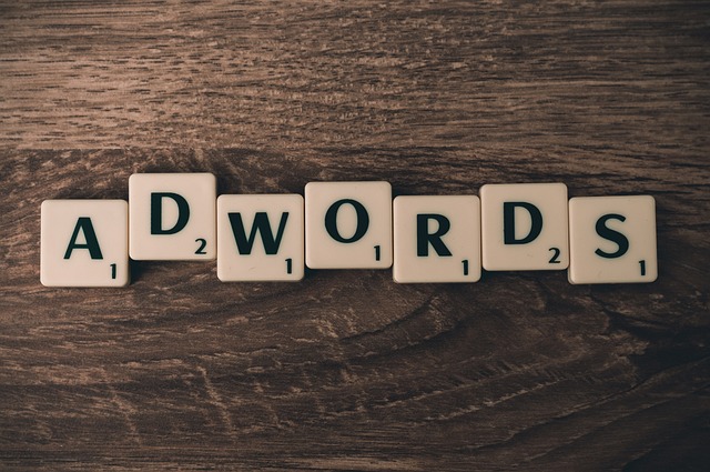 domain SEO impact